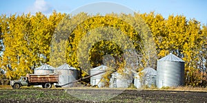 Fall Harvest