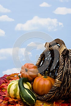 Fall Harvest