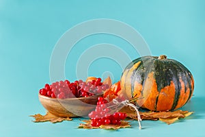Fall harvest on aquamarine shadowless background photo