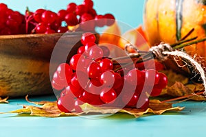 Fall harvest on aquamarine shadowless background