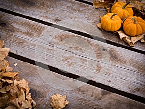 Fall harvest background