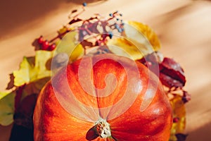 Fall harvest background. Pumpkin surrounded with red and yellow leaves and berries. Autumn season flatlay