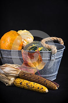 Fall harvest background with pumpkins