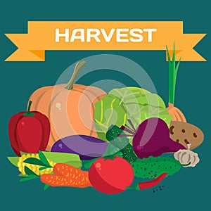 Fall harvest background with space for text. Autumn food festival. Pile of fresh vegetables. Vector flat cartoon illustration