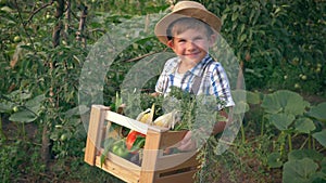 Fall harvest, cheerful boy in straw hat holds in hands box with fresh vegetables at garden