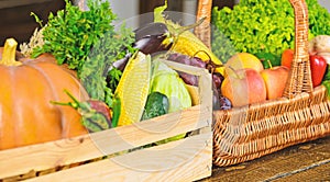 Fall harvest concept. Vegetables from garden or farm close up. Autumn harvest organic crops pumpkin corn vegetables