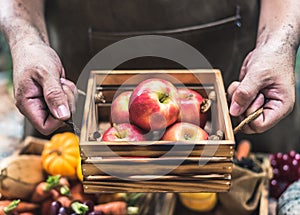 Fall harvest cornucopia. Autumn season with fruit. Thanksgiving day concept