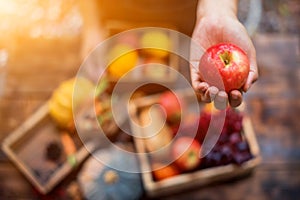 Fall harvest cornucopia. Autumn season with fruit and vegetable. Thanksgiving day concept