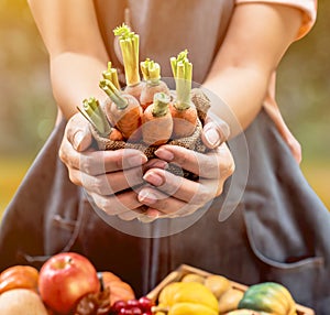 Fall harvest cornucopia. Autumn season with fruit and vegetable. Thanksgiving day concept