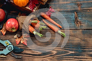 Fall harvest cornucopia. Autumn season. Thanksgiving day concept