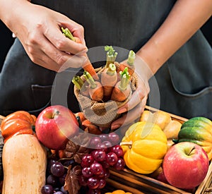 Fall harvest cornucopia. Farmer with fruit and vegetable in Autumn season. Thanksgiving day