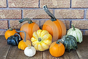 Fall harvest display of varied pumpkins and gourds on rustic woo