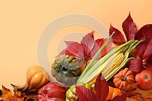 Fall harvest, pumpkins, apple, corncob, colorful grape leaves on orange background with space for text. Thanksgiving Day