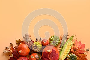 Fall harvest, pumpkins, corncob, colorful leaves on orange background with space for text. Autumn, Thanksgiving Day mock up. View