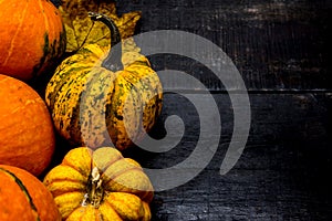 Fall harvest and Thanksgiving day background