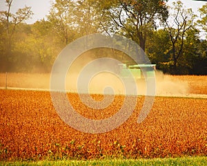 Fall Harvest Time