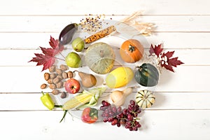 Fall Harvest of Vegetables, Fruits, Nuts, Seeds Fresh Picked from a Farm Garden and displayed on white board background with room