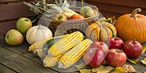 Fall harvest vegetables including corn and apples