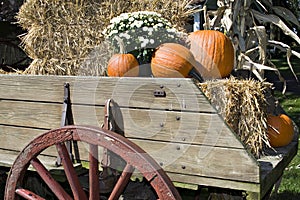 Fall Harvest in Wagon