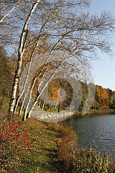 Fall at Hidden Lake Gardens