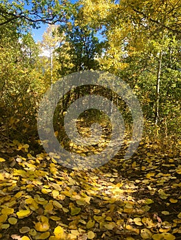 Fall Hiking in Pagosa Springs, Colorado