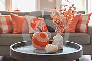 Fall home decor in gray and orange tones