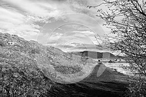 Fall in Iceland. Landscape view with grass field in Iceland. Autumn landscape cloudy day. Climate changes. Nature and