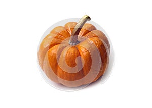 Fall - Isolated Pumpkin