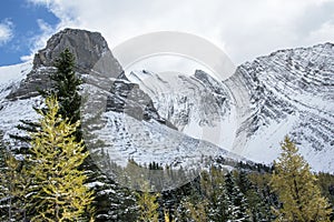 Fall in Kananaskis