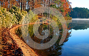 Fall by the lake