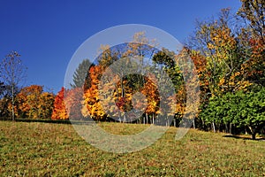 Fall landscape