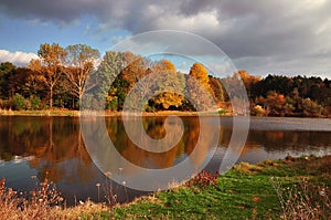 Fall landscape