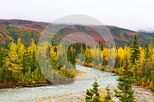 Fall landscape in Alaska