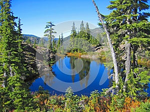 Fall Landscape at Ash Pond on the Forbidden Plateau, Strathcona Provincial Park, Vancouver Island, British Columbia, Canada