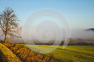 Country field landscape on autumn day