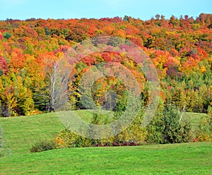 Fall landscape eastern townships