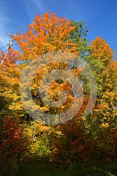 Fall landscape eastern townships