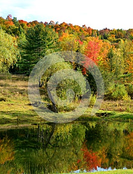 Fall landscape eastern townships