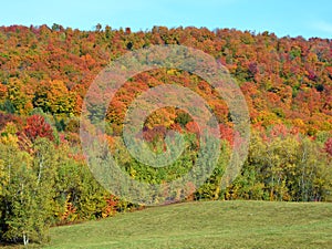 Fall landscape eastern townships