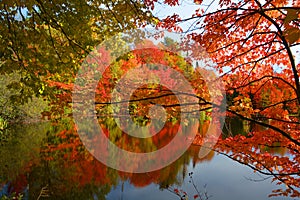 Fall landscape eastern townships