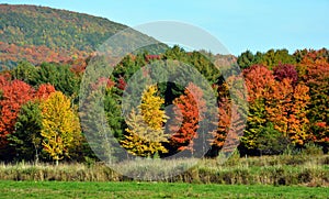 Fall landscape eastern townships