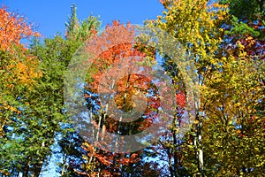 Fall landscape eastern townships