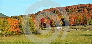 Fall landscape eastern townships