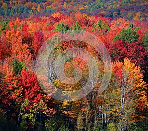 Fall landscape eastern townships