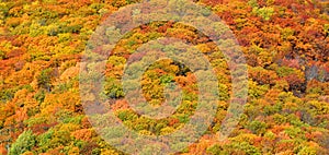 Fall landscape eastern townships