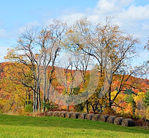 Fall landscape eastern townships