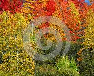 Fall landscape eastern townships