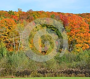 Fall landscape eastern townships