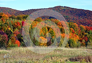 Fall landscape eastern townships