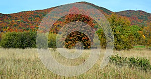 Fall landscape eastern townships